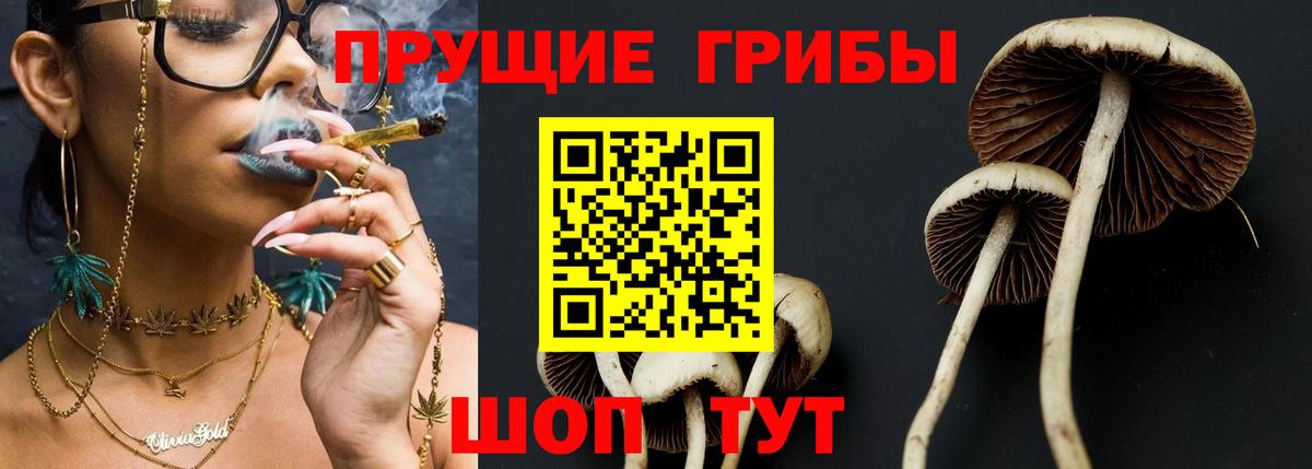 Усинск  Псилоцибиновые грибы мицелий  Вход с VPN 